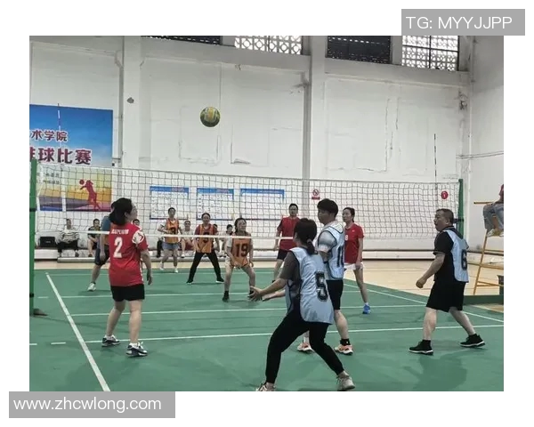 上海排球队在挑战赛中的团队协作表现分析与点评